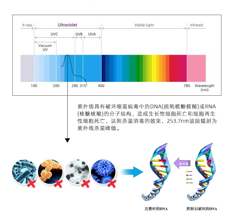 单端四针紫外线杀菌灯_08.jpg